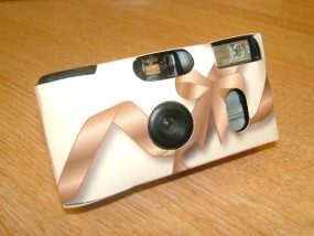 Gold & Ivory Wedding Camera